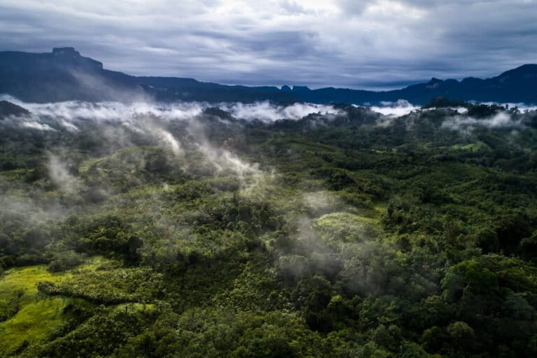 Aerial view of West Kalimantan