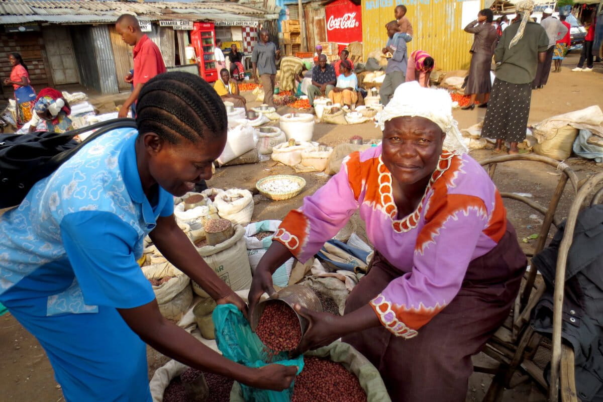 From shamba to PELIS: Kenyan farmers derive livelihoods from government timber plantations