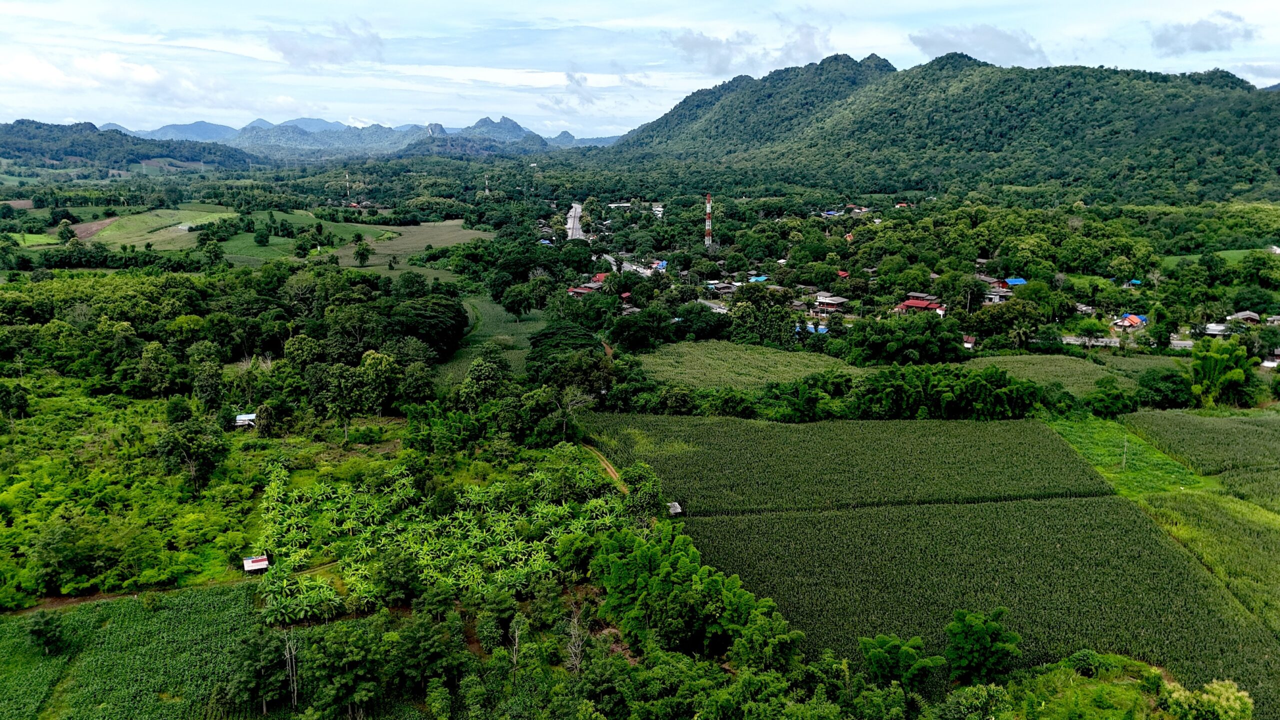 Ngao district landscape
