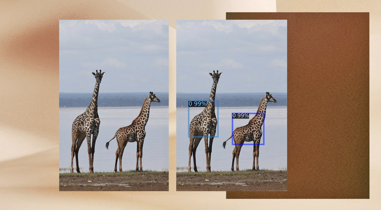 The data has helped scientists understand survival and reproduction rates, movements and behavior of the animals.
