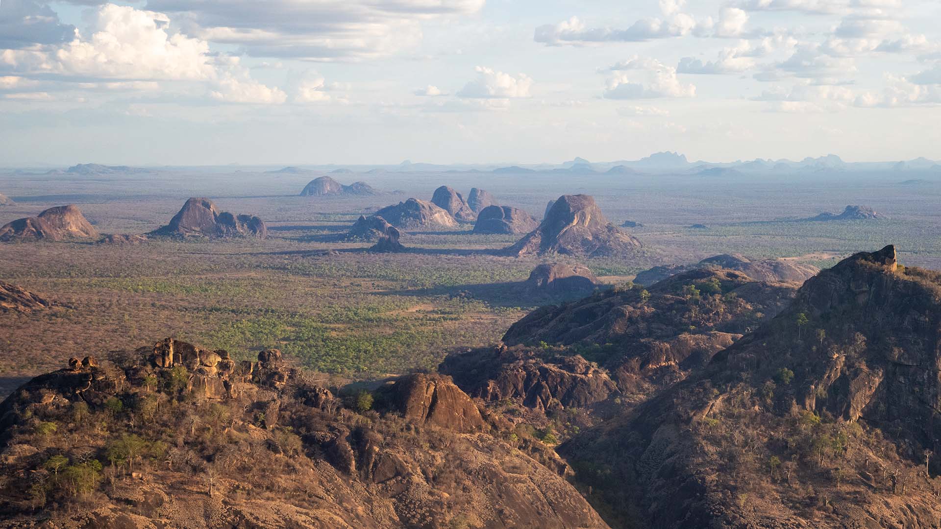 Granite inselbergs protrude from intact miombo woodland in Mozambique's Niassa Special Reserve, which is now thought to harbor the world's biggest documented breeding population of Taita falcons. Image courtesy of Anthony van Zyl.