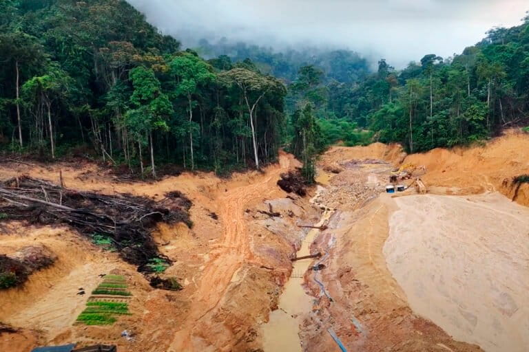 Gold mining impacts persist after DRC shuts down company operations: Video