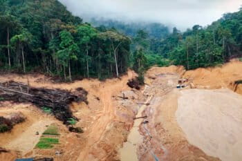 Gold mine in the Dimonika Biosphere Reserve, the Republic of the Congo