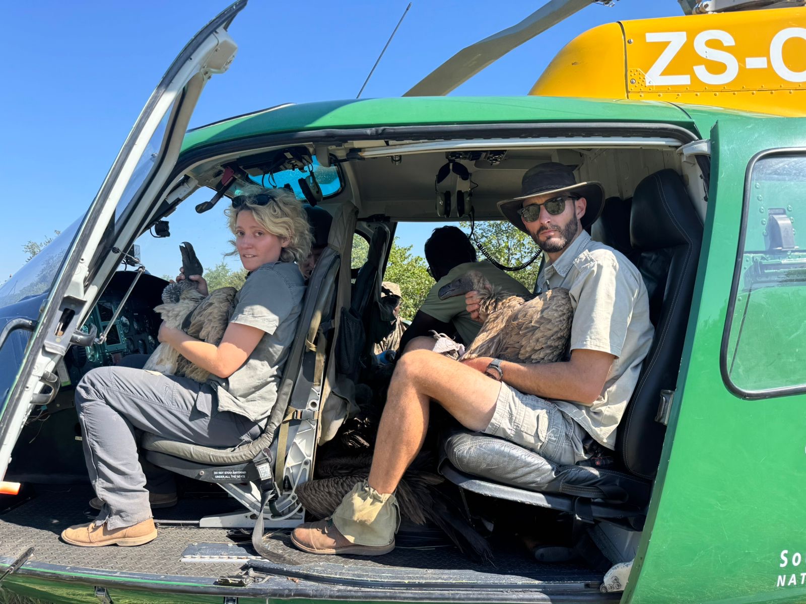 A rapid response to a poisoning event in Kruger National Park in May this year saved more than 80 vultures. Such activities are vitally important, say conservationists, but more action is needed to address drivers of poisoning and poaching. Image courtesy of the Endangered Wildlife Trust.