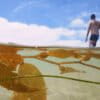 A man walks past kelp in the Pacific Ocean at La Jolla Shores, San Diego.