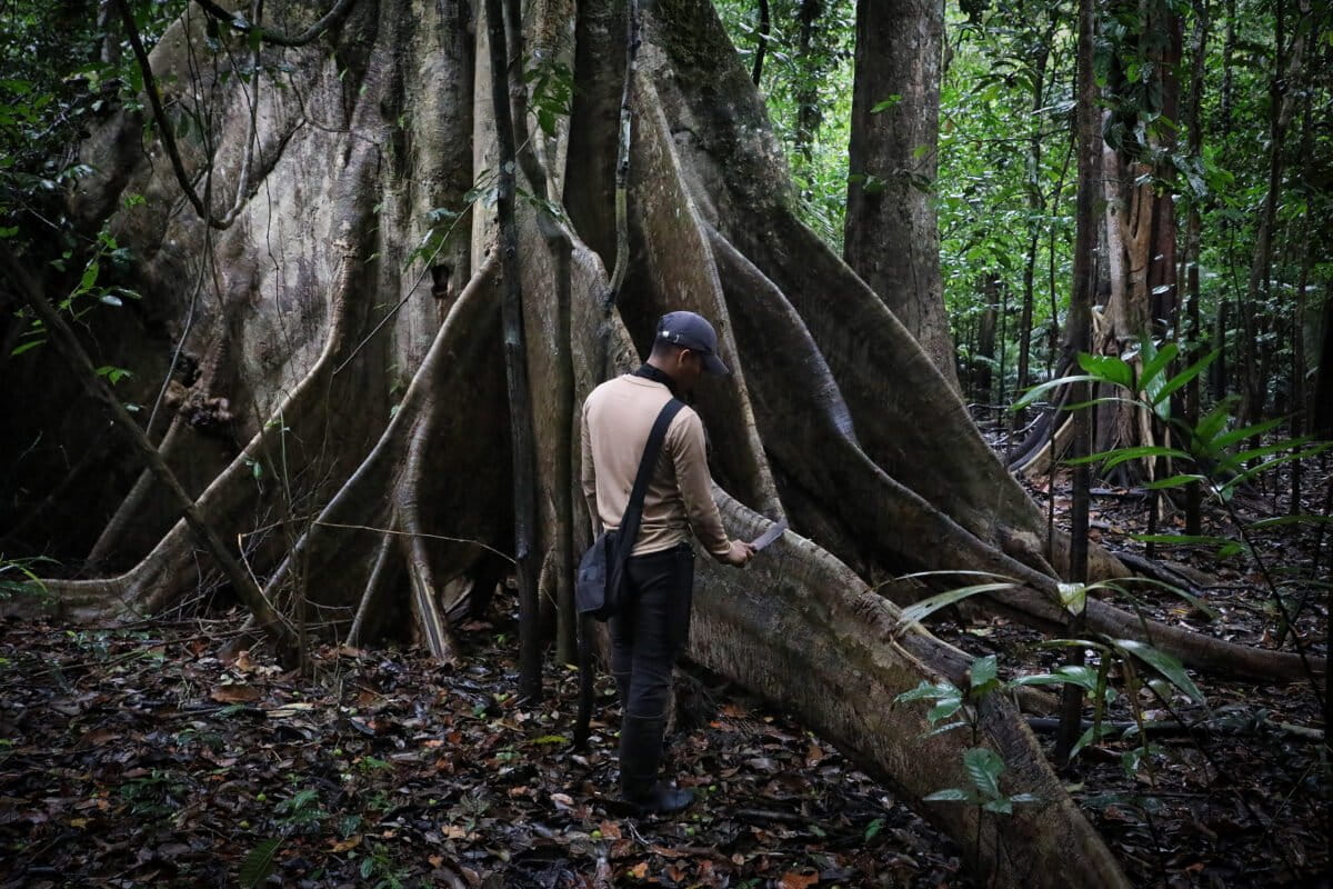 Indigenous man in the Amazon. Image by Rhett Ayers Butler
