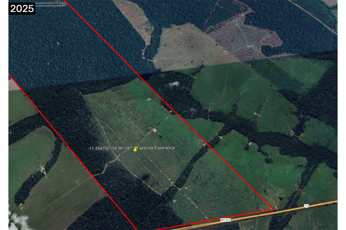 Property of MFG supplier cleared 128 hectares (316 acres), according to Mato Grosso Public Ministry complaint; part of the area was degraded between 2024 and 2025.