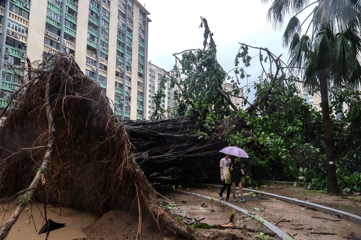 Typhoon Ragasa batters Hong Kong and south China after killing dozens in Taiwan and Philippines