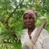 Maan Alima Tagnan under her gliricidia tree, one of the fertilizer trees she has planted in her field.