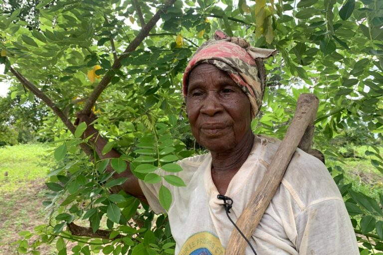 Maan Alima Tagnan under her gliricidia tree, one of the fertilizer trees she has planted in her field.