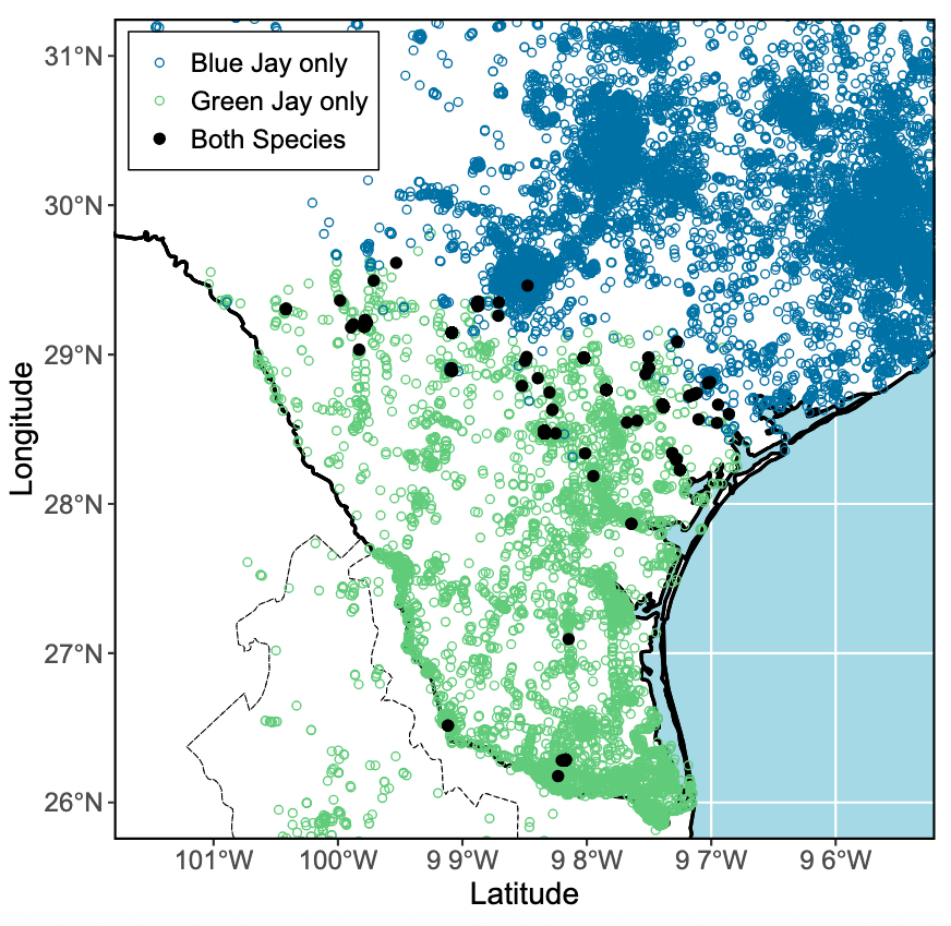 Green and Blue Jay occurrences in Texas reported from 2000 to 2023 in eBird. Image courtesy of Brian Stokes/University of Texas at Austin.