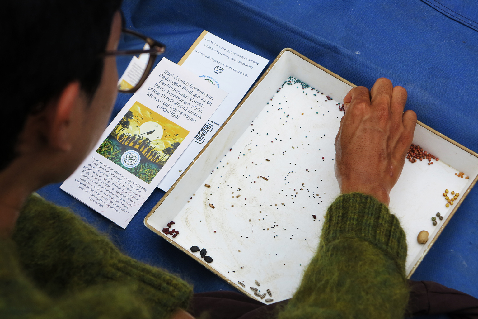 A participant at a seed-guessing competition at a mini carnival for independent farmers. An FKMM brochure about PNPV Act amendment can be seen.