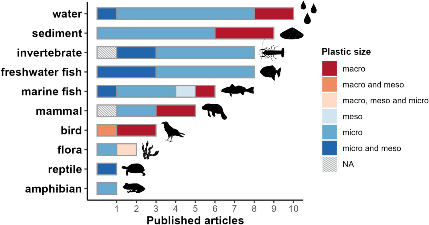 Field studies found plastic contamination across the Amazon Rainforest. Image courtesy of Fernandes de Melo et al., 2025 (CC BY 4.0). 
