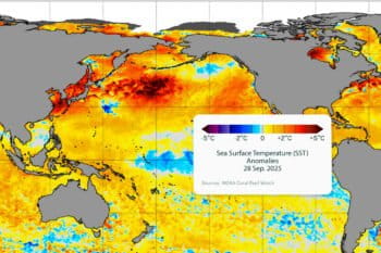North Pacific Ocean temperature anomalies on September 28, 2025. Positive values denotes areas warmer than average; negative values means cooler than average. Image via NOAA Coral Reef Watch.