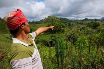Datu Cornelio Melayao points to a patch of greenery tribal members reforested decades ago.