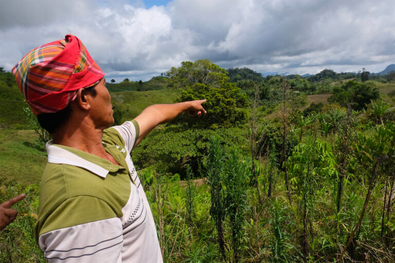 Datu Cornelio Melayao points to a patch of greenery tribal members reforested decades ago.