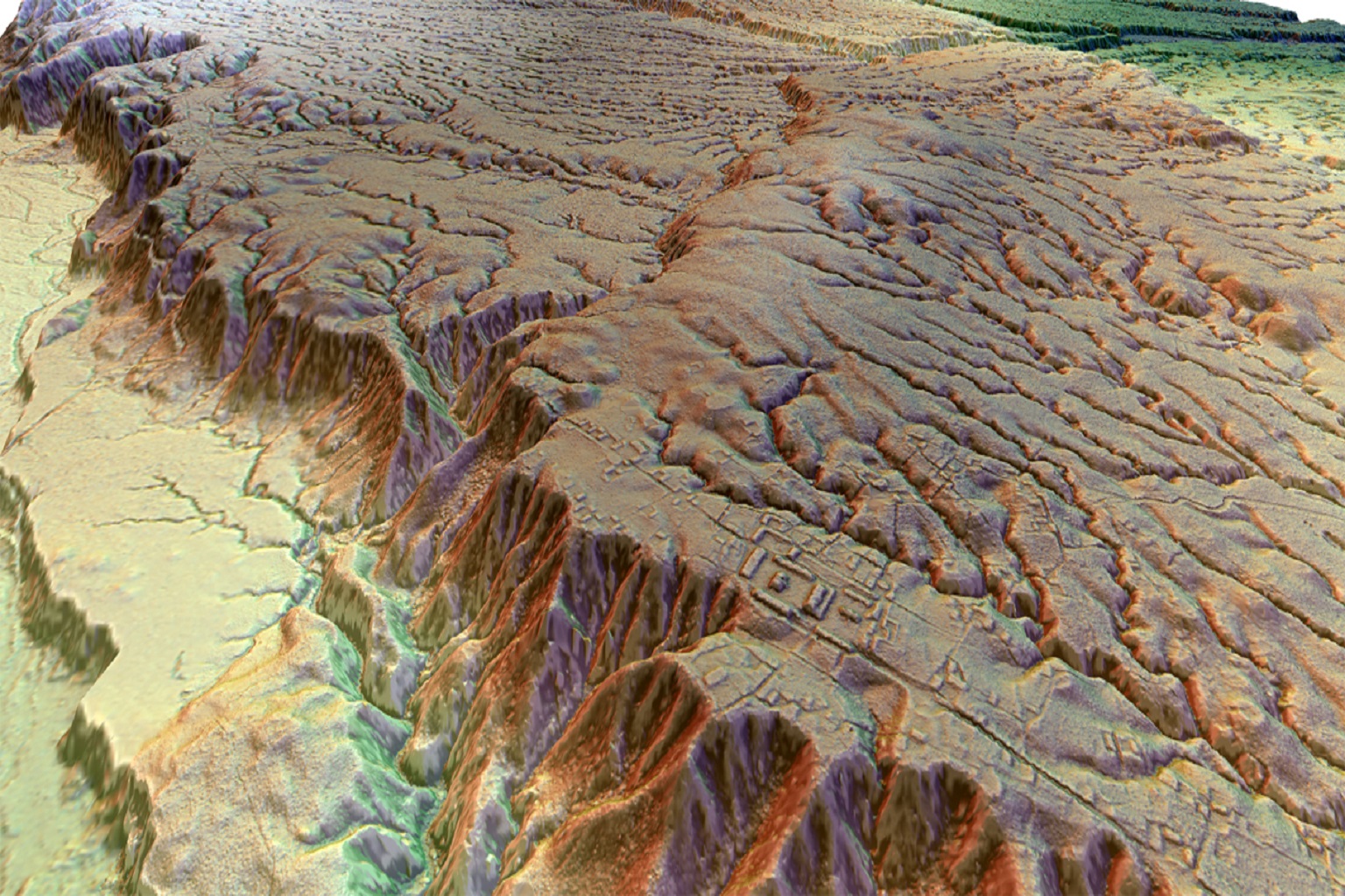 Lidar-generated image of what the Upano Valley culture in Ecuador may have looked like.