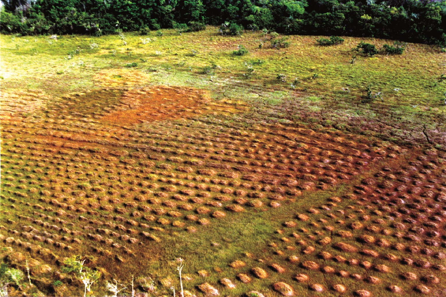 Indigenous myths reveal Amazon s past truths: Interview with Stéphen Indigenous myths reveal Amazon s past truths: Interview with Stéphen