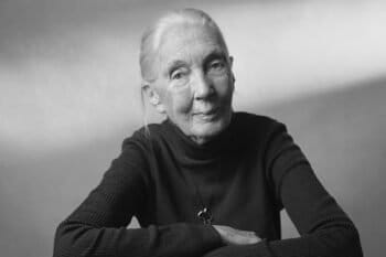 Jane Goodall in 2024. Courtesy of the Jane Goodall Institute.