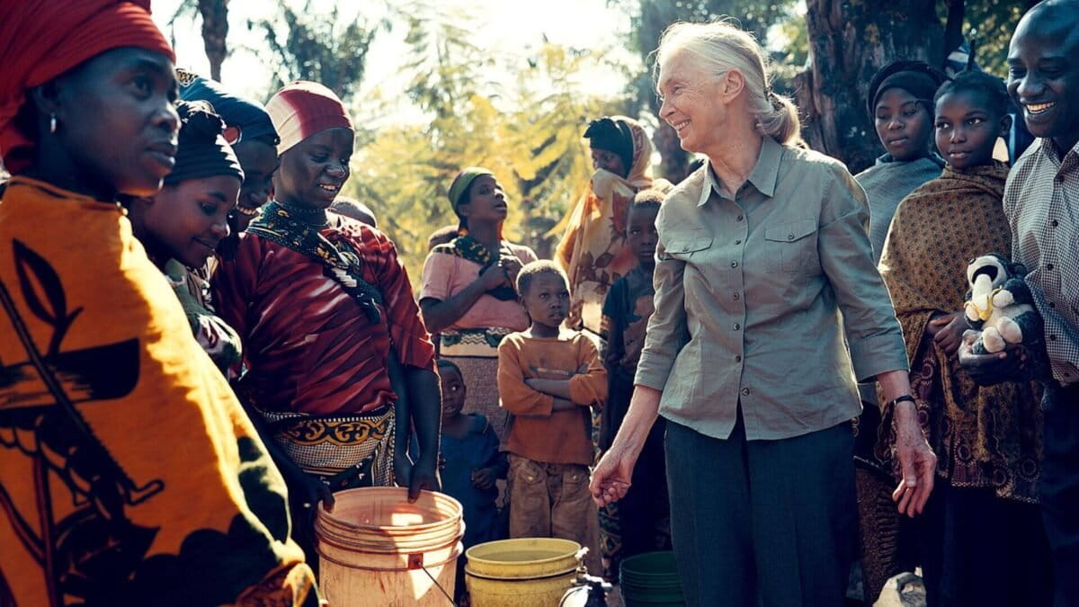 Goodall. Image courtesy of the Jane Goodall Institute