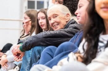 Courtesy of the Jane Goodall Institute