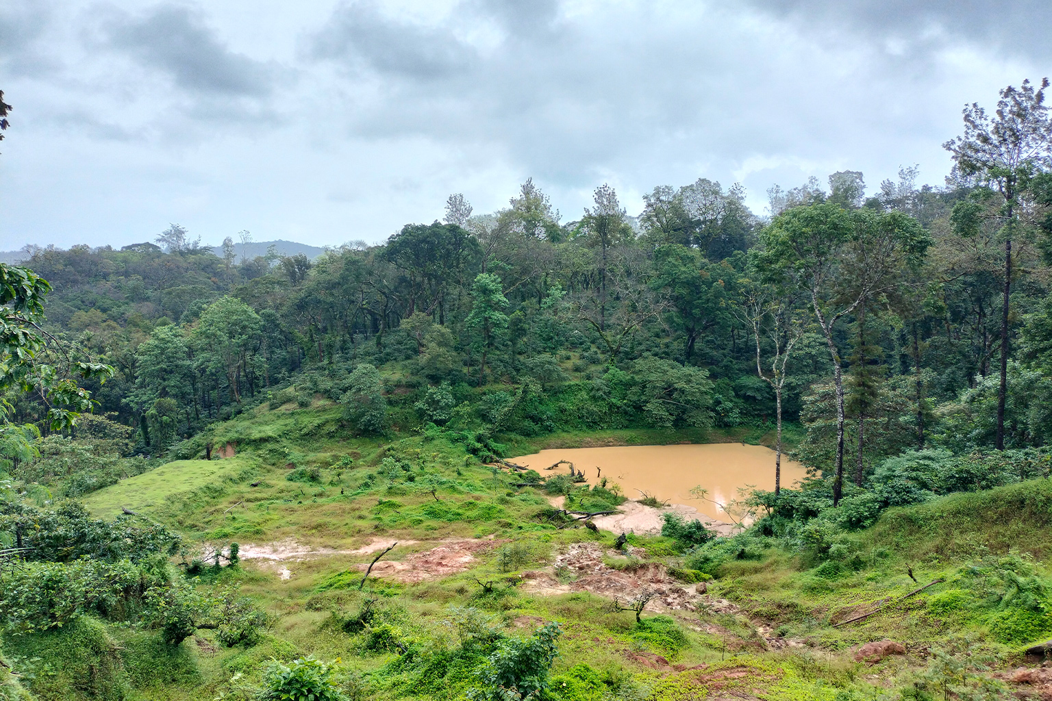 Of two ponds adjacent to each other in the Harley estate, one was completely wiped out due to landslide last year due to pipelines that cut through loose soil