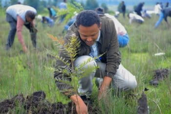 A participant plants local green plants in a park as part of Ethiopia's Green Legacy Initiative, which aims to plant 7.5 billion trees by the end of the year, at Jifara Ber site, Addis Ababa, Ethiopia, Thursday, July 31, 2025.