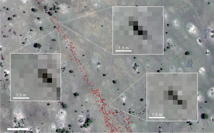 The study combined satellite data with AI models to estimate the number of wildebeests migrating across Kenya and Tanzania in August 2022 and 2023.