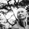 Jane Goodall in Japan in June 2023. Photo taken by Kaori Nishida