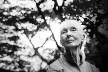 Jane Goodall in Japan in June 2023. Photo taken by Kaori Nishida
