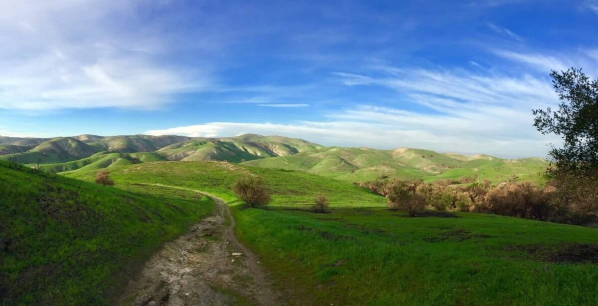 The Mountains Recreation and Conservation Authority (MRCA)