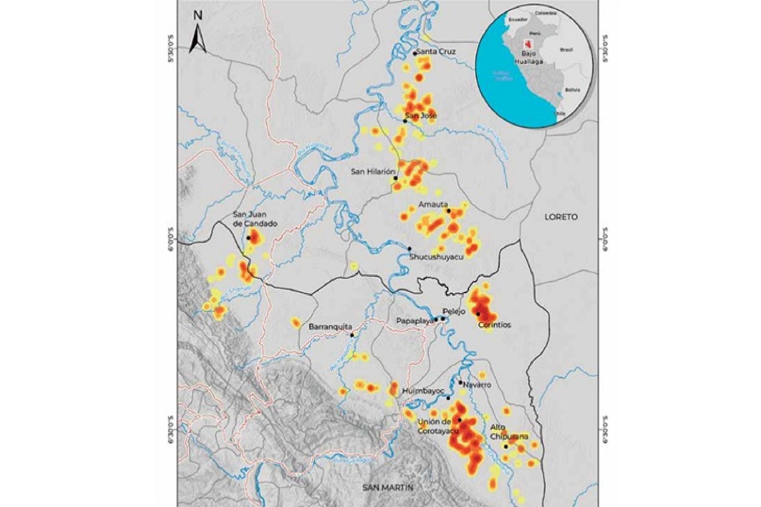 A map shows areas of coca cultivation between Loreto and San Martín. In the Bajo Huallaga coca-growing basin, the cultivated area has increased by 19% since 2020.