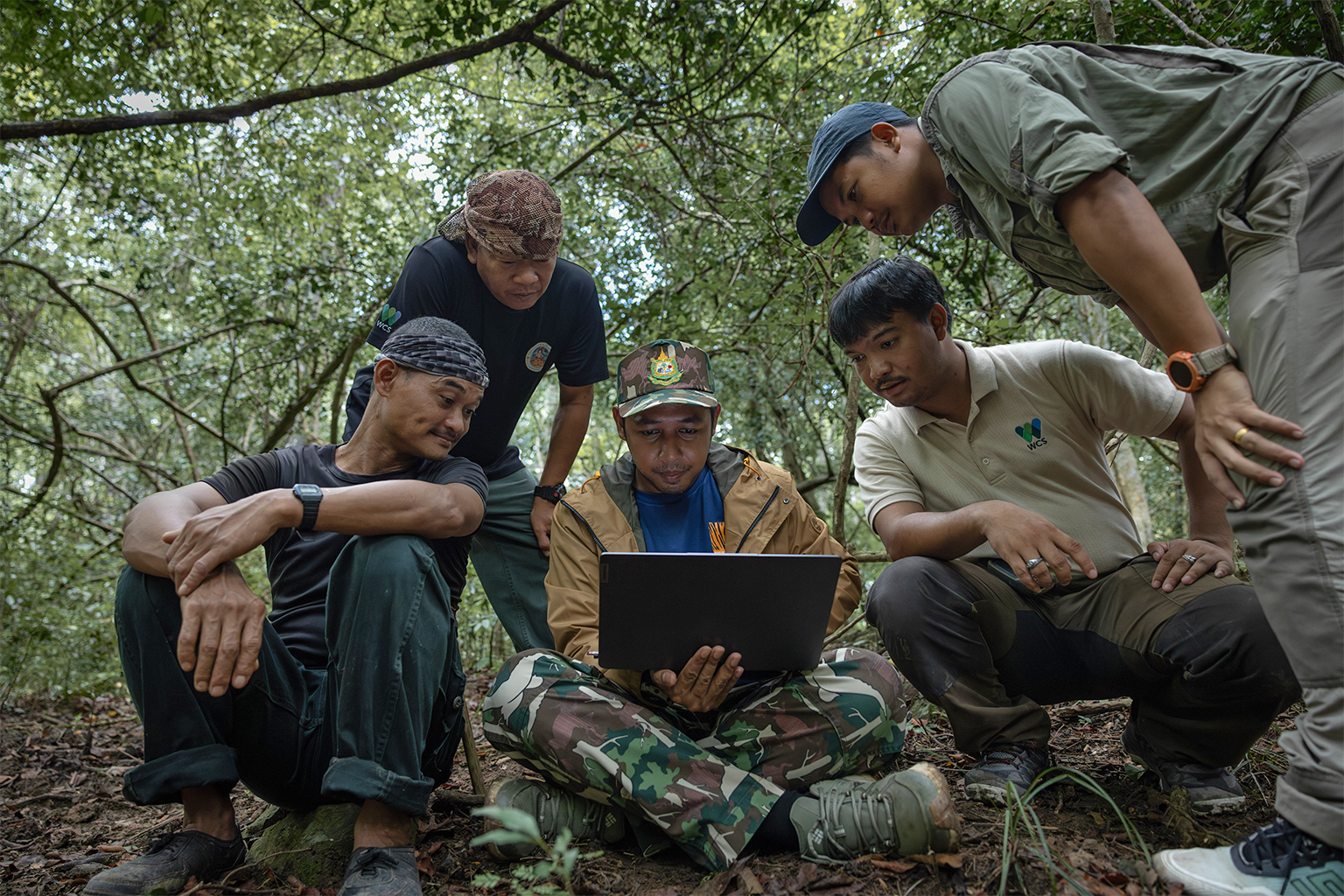 Rangers and researchers gather around the laptop to look at the leopard footage in Kaeng Krachan.