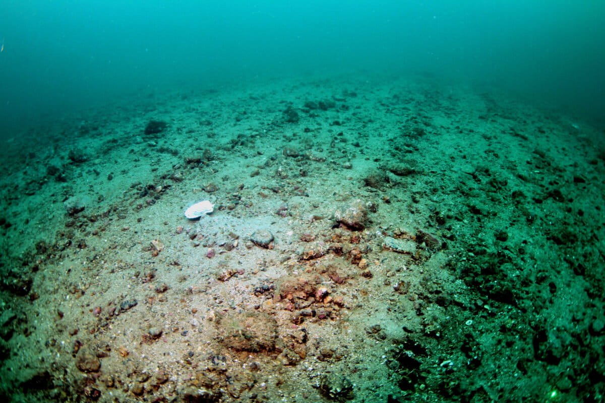 UK rejects total ban on bottom trawling in offshore marine protected areas