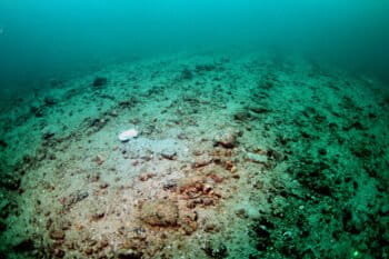 Seabed after bottom trawling. Image courtesy of Howard Wood/Oceana UK.