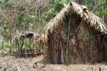 One of Tanaru’s temporary homes. Image courtesy of Funai.