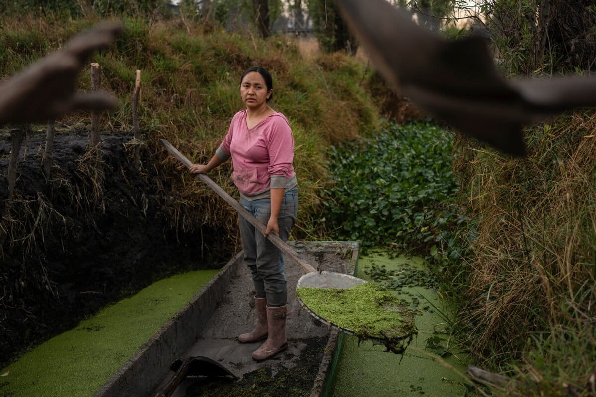 Women in Mexico step up to protect the island farms traditionally inherited by men