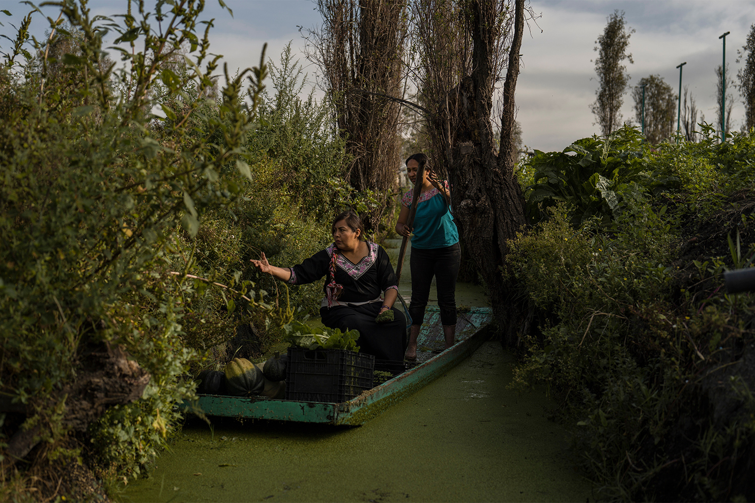 Jasmín Ordóñez, left, and Cassandra Garduño, right, cross an improvised bridge in Garduño's chinampa, an island farm built by the Aztecs thousands of years ago, in San Gregorio Atlapulco, a borough of Mexico City, Sept. 20, 2025.