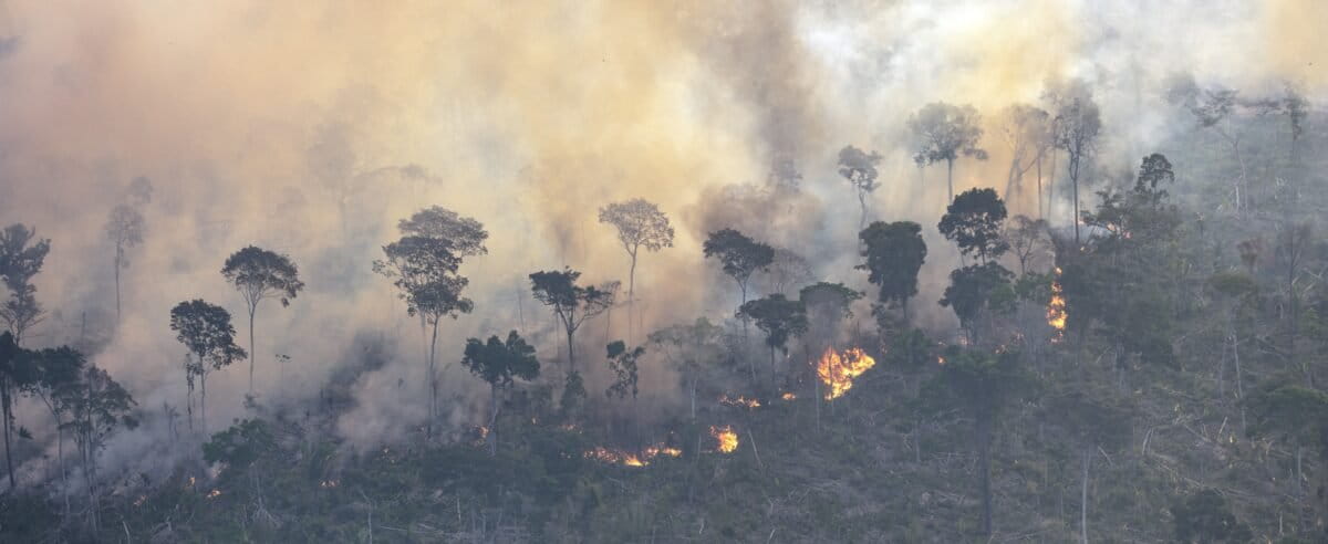 A forest fire in August 2025 in the Brazilian state of Rondônia. Image © Marizilda Cruppe/Greenpeace.