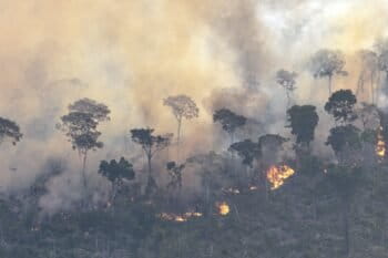A forest fire in August 2025 in the Brazilian state of Rondônia. Image © Marizilda Cruppe/Greenpeace.