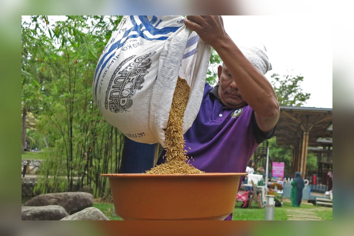 Malaysian farmers demand transparency over proposed seed quality bill