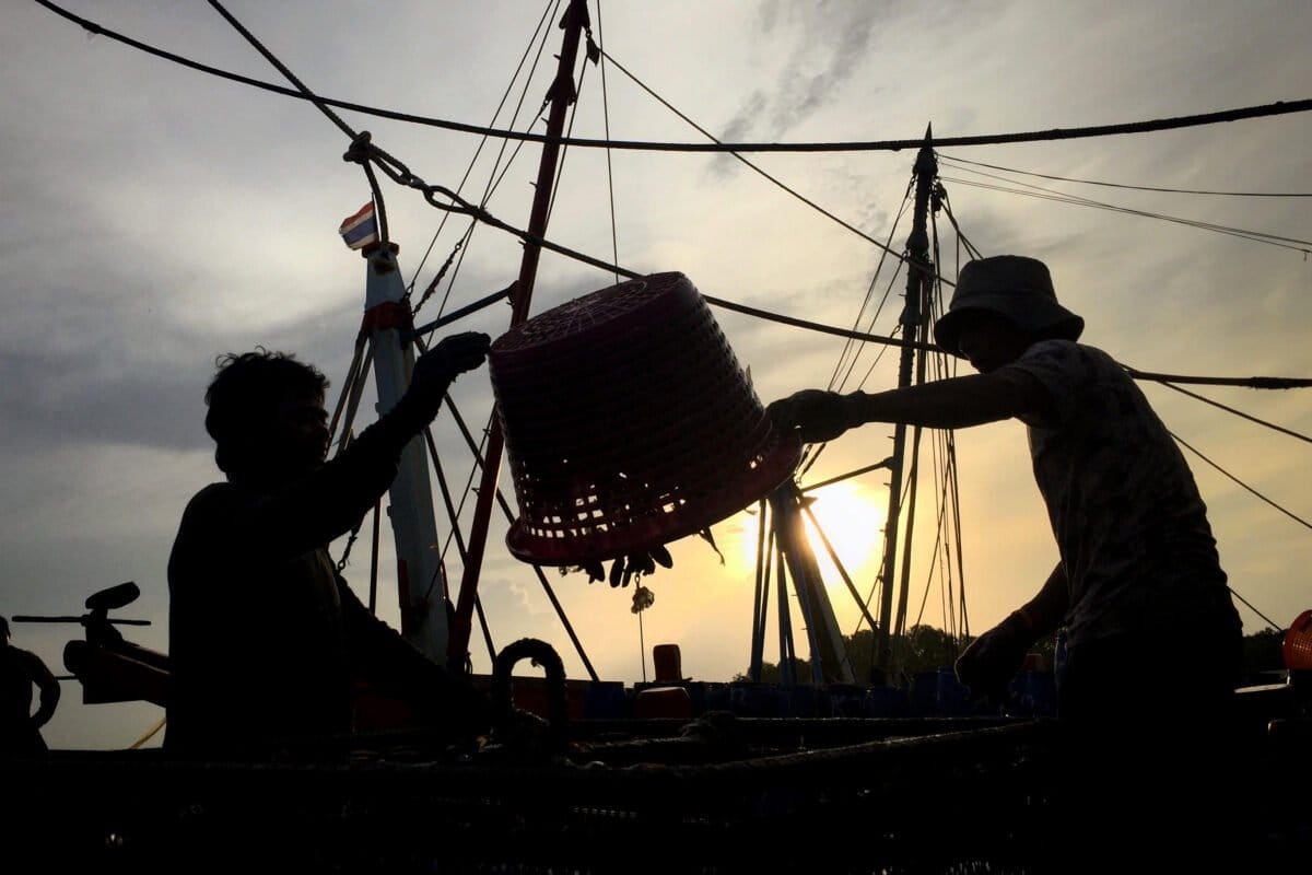Global treaty to end subsidies for destructive fishing takes effect