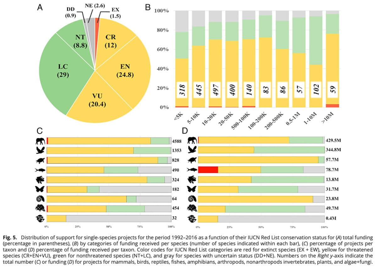 Distribution of support for single-species projects for the period 1992–2016 as a function of their IUCN Red List conservation status for (A) total funding (percentage in parentheses), (B) by categories of funding received per species (number of species indicated within each bar), (C) percentage of projects per taxon and (D) percentage of funding received per taxon. Color codes for IUCN Red List categories are red for extinct species (EX + EW), yellow for threatened species (CR+EN+VU), green for nonthreatened species (NT+LC), and gray for species with uncertain status (DD+NE). Numbers on the Right y-axis indicate the total number (C) or funding (D) for projects for mammals, birds, reptiles, fishes, amphibians, arthropods, nonarthropods invertebrates, plants, and algae+fungi.