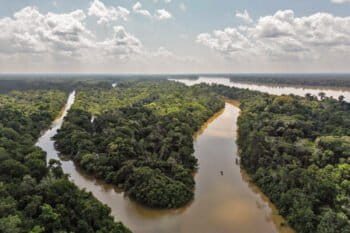 Puerto Caimán Island in the Curare-Los Ingleses Indigenous Reserve’s conservation area.