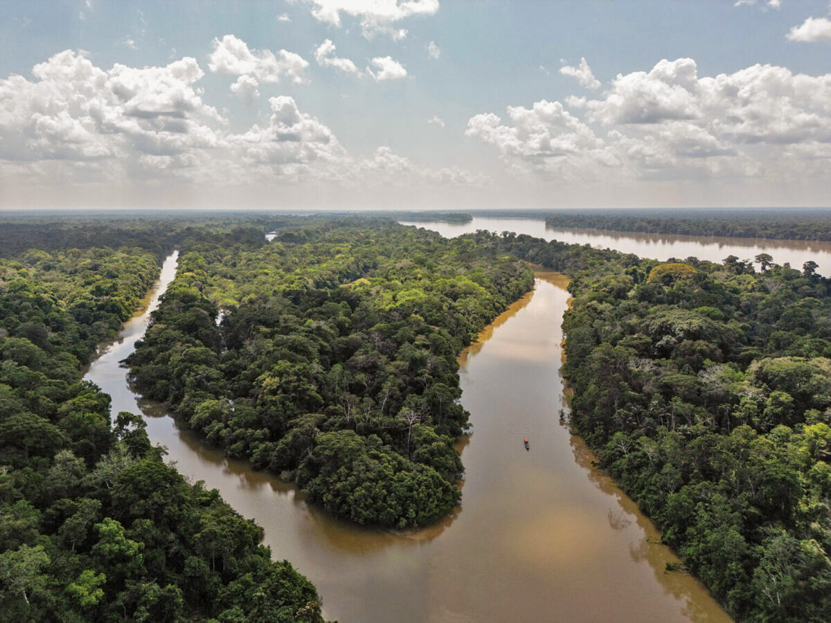 Puerto Caimán Island in the Curare-Los Ingleses Indigenous Reserve’s conservation area.