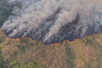 Recent fires in the Amazon Rainforest degraded a large portion of the world’s primary forests. Image © Marizilda Cruppe/Greenpeace.