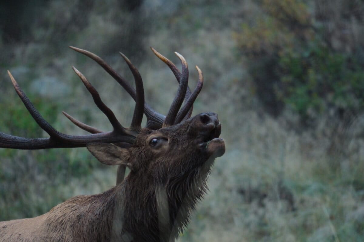 photo of ‘We can have abundant rivers and wildlife’: Director of ‘The American Southwest’ on new film image
