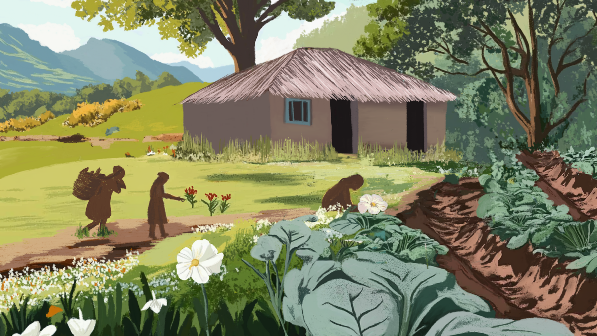 Putumayo’s women guardians defend land and culture amid Colombia’s deforestation