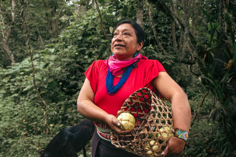 Mamá Conchita in her chagra with her dogs.