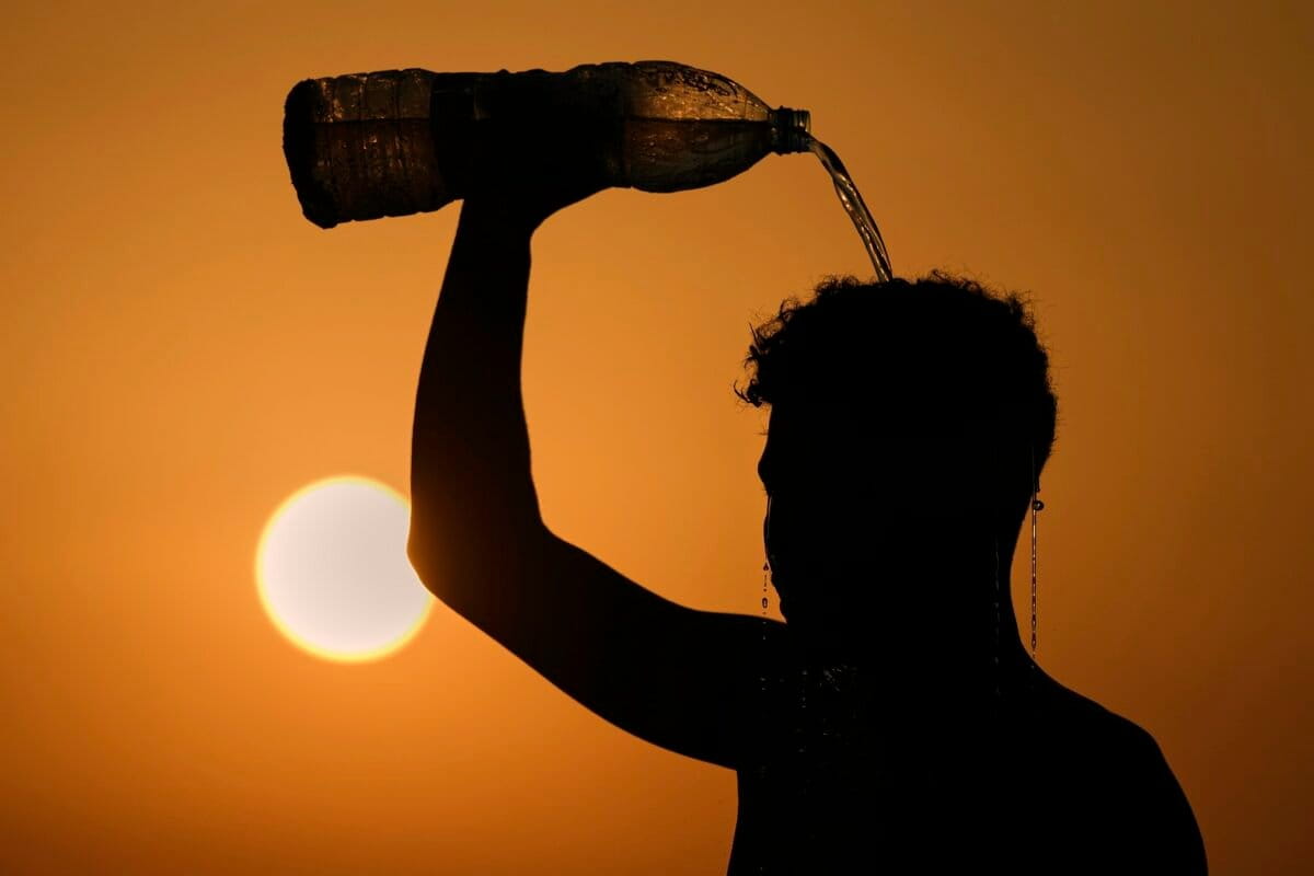 Feel the heat: New app maps heat stress anywhere on Earth, 1940 to now